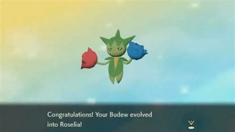 budew serebii|how to evolve budew legends arceus.